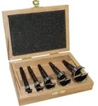 Forstnerbohrersatz Type 0317 5-tlg.D.15,20,25,30,35mm FISCH-TOOLS