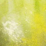 Vallejo Slimy Grime Light