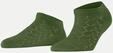 Falke FALKE Family SN Special Edition Gr&uuml;n 35-38