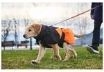 Non-stop Dogwear Hundemantel Glacier Dog Jacket 2.0 Schwarz/Orange 70