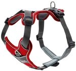 Hunter Geschirr Divo Rot/Grau 52-68/S-M