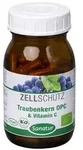 Traubenkern OPC & Vitamin C - 90 Kapseln