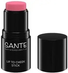 Lip to Cheek Stick - 01 Rose Blush 6g