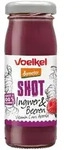 Shot - Ingwer & Beeren