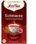 Echinacea