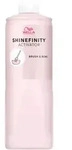 ShineFinity Activator Brush Bowl
