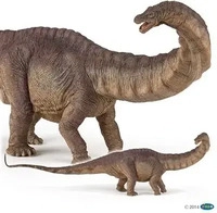 PAPO 55039, PAPO 55039 Apatosaurus