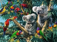 RAVENSBURGER 14826, RAVENSBURGER 14826 Puzzle Koalas im Baum