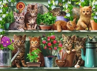 RAVENSBURGER 14824, RAVENSBURGER 14824 Puzzle Katzen im Regal