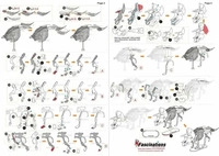 METAL EARTH 502434, FASCINATIONS 502434 Metal Earth: Triceratops