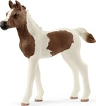 SCHLEICH HORSE CLUB 13839, SCHLEICH HORSE CLUB SCHLEICH 13839 Araber Pinto Fohlen