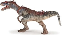 PAPO 55078, PAPO 55078 Allosaurus