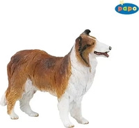 PAPO 30230, PAPO 30230 Collie