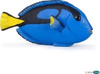 PAPO 56024, PAPO 56024 Doktorfisch