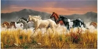 CLEMENTONI 38006, CLEMENTONI 38006 Puzzle 13200 Teile High Quality Collection - Band