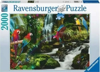 RAVENSBURGER 17111, RAVENSBURGER 17111 Puzzle Bunte Papagein im Dschungel 2000 Teile