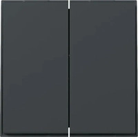 Gira 349567, GIRA 349567 Wippe 2fach gerade stehend Gira TX_44 Anthrazit