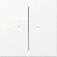 Gira 363127, GIRA 363127 Wippe 2fach mit Kontrollfenster System 55 Reinwei&szlig;...