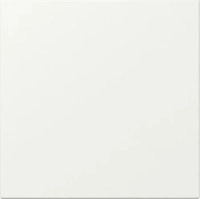 Gira 349627, GIRA 349627 Wippe gerade stehend System 55 Reinwei&szlig; seidenmatt