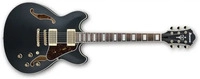 Ibanez AS73G-BKF Semi-Hollow E-Gitarre Black Flat (MEAS73GBKF)