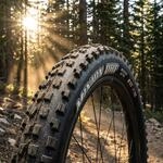 Maxxis Reifen Minion DHF FR TLR WT fb 29x2.50 Zoll 63-622 schwarz EXO Dual