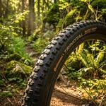 Continental Trinotal Race Grip TL-Ready Faltreifen 29x2 - 40 - Leichter...