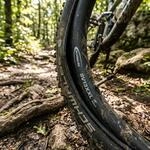 Schwalbe SV13XXL Fahrradschlauch 26 Zoll - Zuverl&auml;ssiger MTB-Schlauch mit