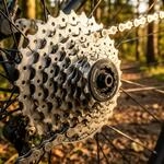 SHIMANO Kassette ACERA CS-HG41 8-fach 11-34 Z&auml;hne Kassette - 8-fach