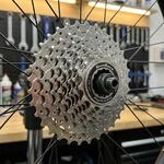 SunRace Schraubkranz 8-Fach 13-32 Z&auml;hne - Ritzel - Schraubzahnkranz