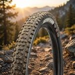Maxxis Reifen Aggressor WT TLR DD faltb. 29x2.50 Zoll 63-622 schwarz Dual