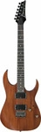 IBANEZ RG421-MOL, IBANEZ RG421-MOL