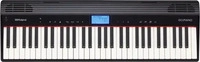 ROLAND 417952, ROLAND GO:Piano