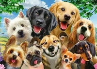 Schmidt Spiele Hunde-Selfie (Puzzle)