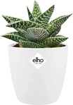Elho 5640620715000, elho brussels rund mini 7 cm - wei&szlig;