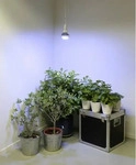 Venso E501 210, Venso E27 Pflanzenlampe "Winter" - 18 Watt