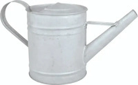 Esschert Design OZ42, Esschert Design Englische Gie&szlig;kanne verzinkt 0,75 Liter -