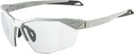 Alpina - Twist Six HR V Sonnenbrille smoke 233810_412