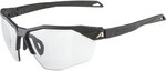 Alpina - Twist Six HR V Sonnenbrille black matt 228357_412