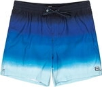 Billabong - All Day Fade LB Badeshorts Herren coastal blue 237503_1268