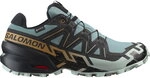 Salomon - Speedcross 6 GORE-TEX&reg; Trailrunningschuhe Herren trooper 242079_1304