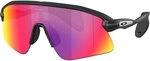 Oakley - Stunt Devil Sonnenbrille matte black 255582_412