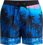 Quiksilver - Everyday Badeshorts Herren aqua thermotropics blau