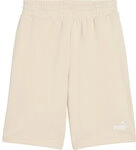 Puma - ESS No.1 Logo Shorts Shorts Herren alpine snow 249572_1269