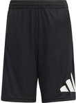 adidas - Train Essentials Big Logo Shorts Kinder schwarz 248637_1280