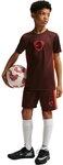 Nike - Academy+ Dri-FIT Fu&szlig;ballshorts Kinder rot 261285_1268