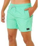 Rip Curl - Offset Daily Volley Boardshorts Herren green sd 251609_1292