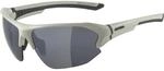 Alpina Lyron HR Sonnenbrille, grau 4003692309457