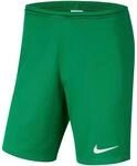 Nike Dri-Fit Park 3 Kinder Teamhose, gr&uuml;n 193654347512