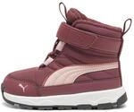 Puma Evolve AC+ Inf Kinder Sneaker, rot, Gr. 20 4099683299685