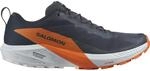 Salomon Sense Ride 5 GTX Herren Trailrunningschuhe, grau, Gr&ouml;&szlig;e 44 ⅔ 195751553506